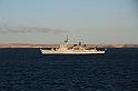 Kanary_2010 391